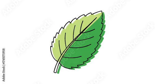 Mint leaves outline icon vector
