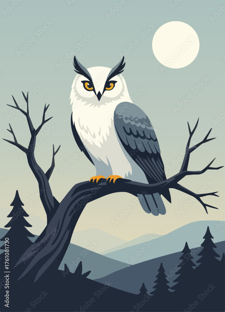 Obraz premium owl vector