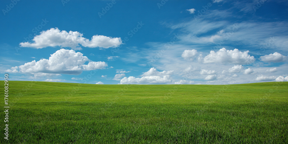 Obraz premium Expansive Meadow of Lush Green Grasses Under a Clear Vast Blue Sky with Soft White Clouds Drifting Peacefully in the Warm Sunlight