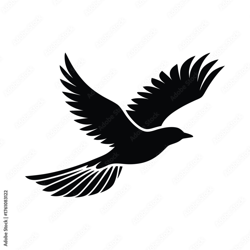 Obraz premium Flying bird silhouette with wide wings spread.