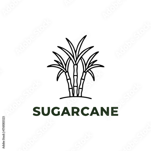 Sugarcane Plant Simple Line Art Icon