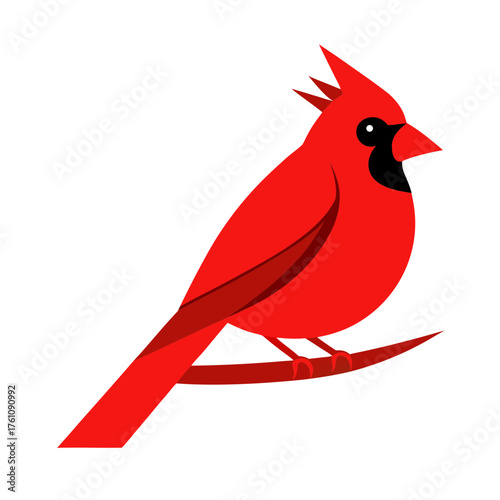 Vibrant red cardinal perched on a branch