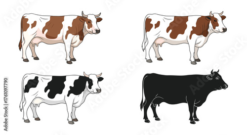 Four distinct images of cows showcasing various coat patterns and a silhouette.