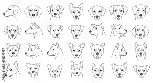 A delightful collection of diverse dog breed illustrations for creative projects.
