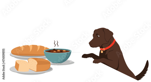 A hungry dog is looking at a bowl of stew with bread on the side.