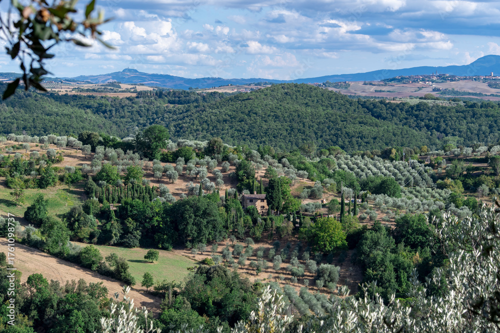 Obraz premium Farmland near Montisi village, Montalcino Municipality, Siena Province, Tuscany, Italy