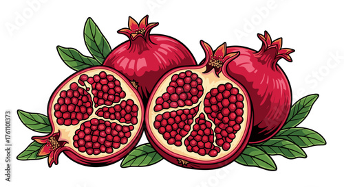 Pomegranates with leaves with fresh and vibrant mood, vivid vector illustration with rich bright tones and bold clean lines, white background