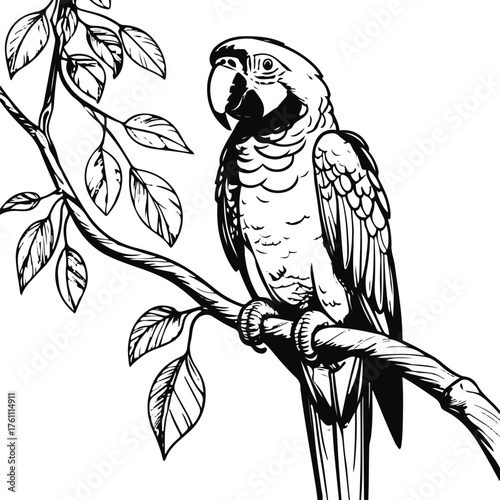 Parrot sitting on branch with leaves, hand-drawn contour lines, bold black outline 1