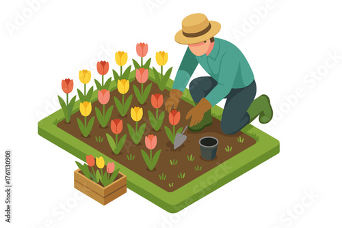 Caucasian male adult gardening tulips with shovel in colorful flower bed