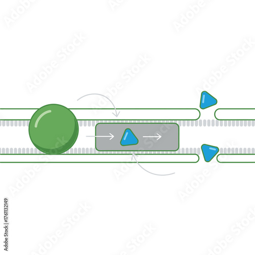 Illustration depicting the transport of a molecule across a cell membrane, involving a carrier protein and diffusion.