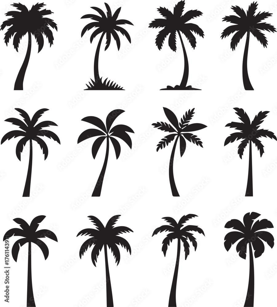 Fototapeta premium Palm Trees Silhouette Collection Vector Illustration