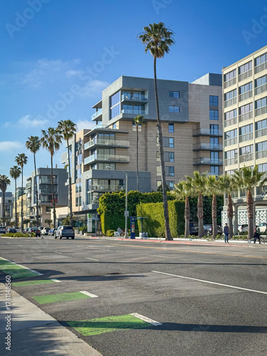 Contemporary residential buildings line Ocean Avenue in Santa Monica, California, with tall palm trees, green hedges, and a bike lane against blue sky