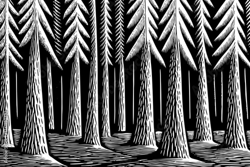 Abstract vector of dense pine tree trunks with extreme vertical contrast and clean silhouettes