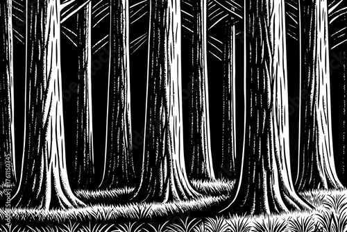 Abstract vector of dense pine tree trunks with extreme vertical contrast and clean silhouettes