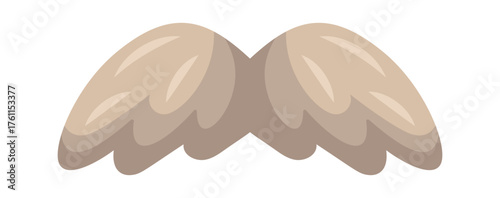 Elegant mature man grey-haired moustache
