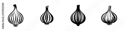 Illustration of four garlic bulbs with distinct shapes and lines suitable for culinary design