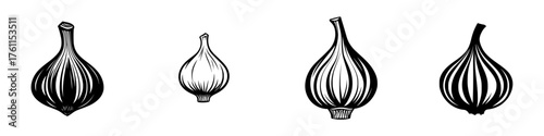 Variety of garlic bulbs presented in a detailed sketch on a white background