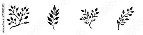 Stylized botanical illustrations showing various branch designs with leaves arranged in different orientations
