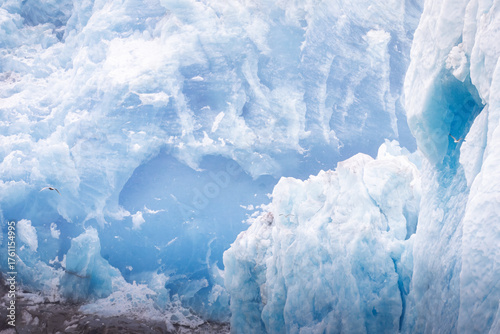 Photography View of Islandis glacier in Qalerallit Sermia fjord, Greenland, with calving ice