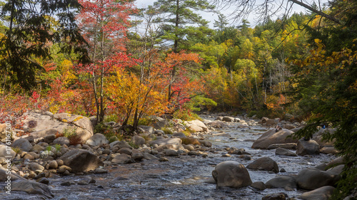 Fall foliage near the Pemigewasset River