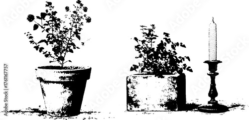 Black and white high contrast plant and candle arrangement for artistic design