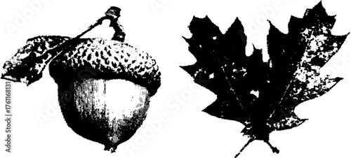 Nature-inspired black and white halftone illustration of acorn and oak leaf design