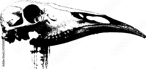 Gritty black and white halftone illustration of animal skull for gothic designs