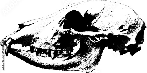 Gritty black and white halftone illustration of an animal skull for gothic design