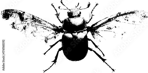 Black and white halftone beetle illustration with xerox effect for artistic design