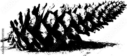 Black and white halftone illustration of isolated pine cone for retro design