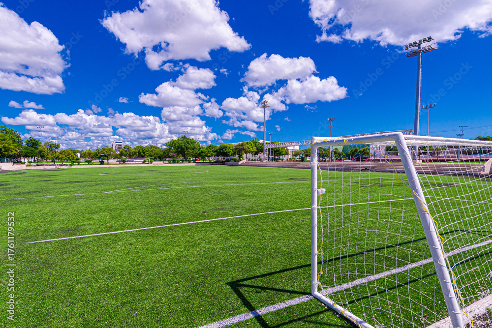 Fototapeta premium Professional Soccer Field in Playa del Carmen, Mexico on a Sunny Day