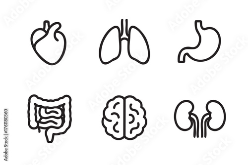 Black outline icons depicting a heart, lungs, stomach, intestines, brain, and kidneys, representing various human body organs.