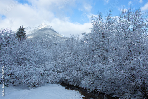 Winter landscape with snow covered trees and river.