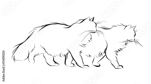 A continuous line art drawing of two large, fluffy cats walking side-by-side, representing Freya's chariot-pullers.