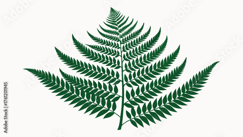 fern frond texture detailed pattern.