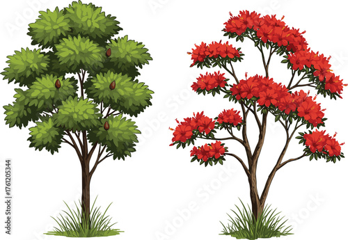 Green leafy tree, red flowering tree, botanical contrast, nature landscape, tropical garden, vibrant foliage, seasonal bloom, dual tree composition