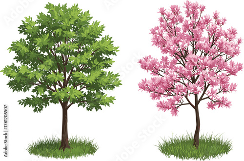 Green tree, pink blossom tree, spring foliage, flowering season, botanical contrast, deciduous trees, nature illustration, vibrant canopy, expressive trunks, lush vegetation