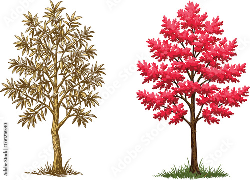 Leafless tree, red foliage tree, seasonal contrast, autumn transition, botanical diversity, nature landscape, vibrant leaves, dual tree composition, grassy terrain