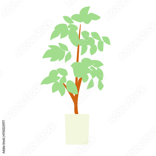 柔らかな色と形で描かれたパキラの鉢植えイラスト｜インテリア装飾やボタニカルデザイン素材に最適なベクター作品