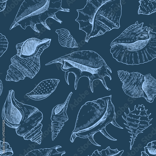 Seamless pattern with shells. Black and white detailed ink illustrations for design.