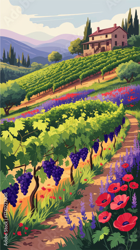 Picturesque Tuscany Vineyard Landscape Illustration with Old Farmhouse, Rolling Hills, Purple Grapes, Wildflowers, and Vibrant Colors
