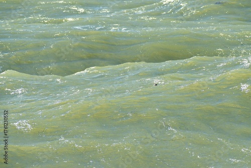 Sea wave