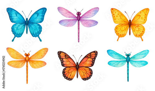 Watercolor butterflies and dragonflies set, color insect clipart collection