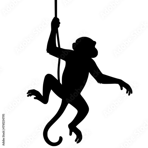 Silhouette of a monkey hanging