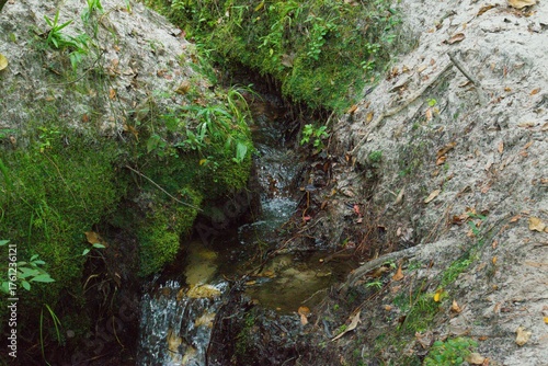 small waterfall in the forest