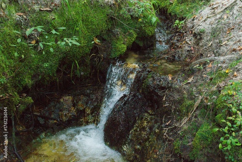 small waterfall in the forest