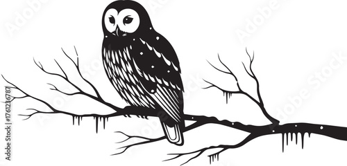 Black and white silhouette of an owl perched on a bare tree branch with icicles bird.