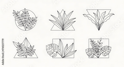 Botanical Line Art Set Geometric Floral Designs for Decorative and Creative Projects