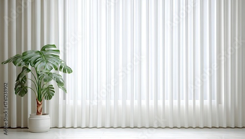 Lush tropical plant stands in a pot near a bright window covered with white drapes.