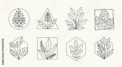 Elegant botanical line art illustrations featuring various plants enclosed within modern geometric frames, perfect for nature-inspired design projects, minimalist branding, and decorative elements